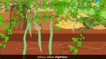 KZKCARTOON TV-Papayi Kannulu Kaluva Rekulu - Telugu Nursery Rhyme for Children