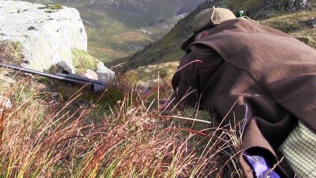 The Shooting Show – red stag double and Irish foxing