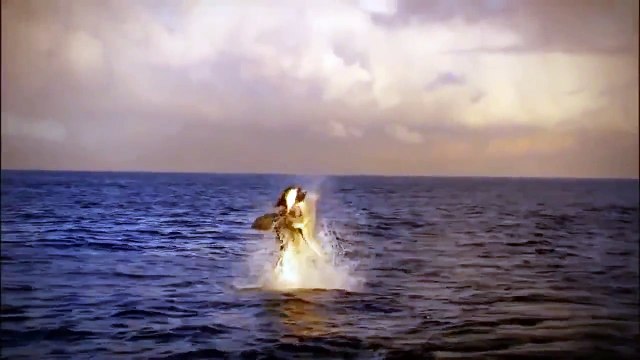 [Nat Geo Wild HD] Wild Kalahari HD (Nature Documentary)