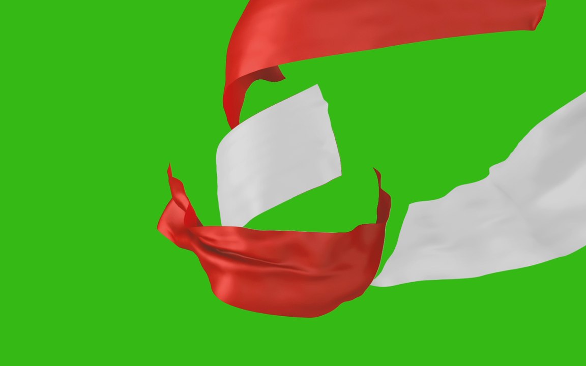 Green Screen Matte Cloth