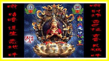白蓮花王心咒 21遍 影片dailymotion