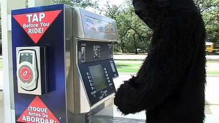 Gorilla Man 3׃ He Takes the Train