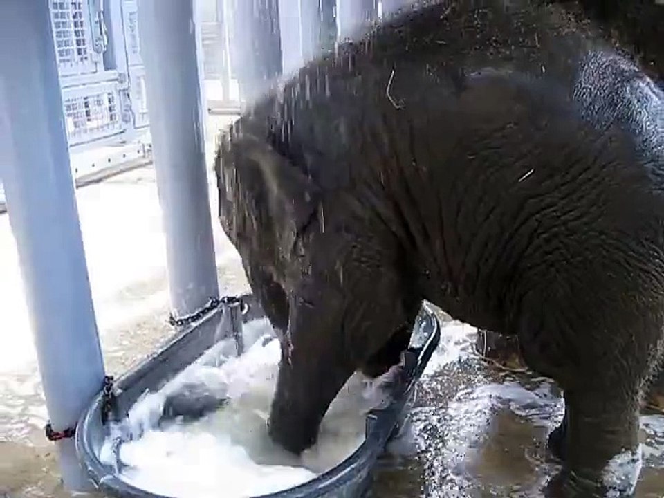 Baby Baylor Getting a Bath