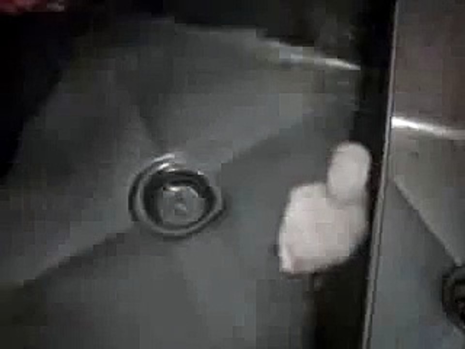 Going for a Swim