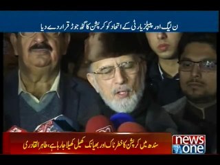 Federal govt, Sindh in sync over corruption: Dr.Qadri