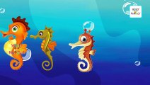 Cartoon Sea Horse Finger Family Nursery Rhyme | Sea Horse Daddy Finger Family Rhymes for C