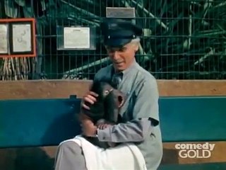 Rhoda S05E07 Martin Comes Home