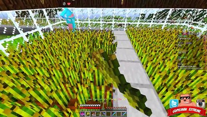 MINECRAFT Sobrevivência com Inscritos #14 TESOURO PERDIDO!!