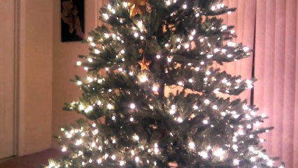 Quand le chat détruit le sapin de noel en escaladant