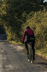 축구분석 [〃S-ch1.com 〃추천인:Win365 ] MGM홀짝