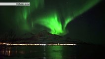 Whales play under the Northern Lights in Norway - BBC News