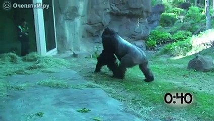 Baby playing with Monkey & Lion (Check it out)