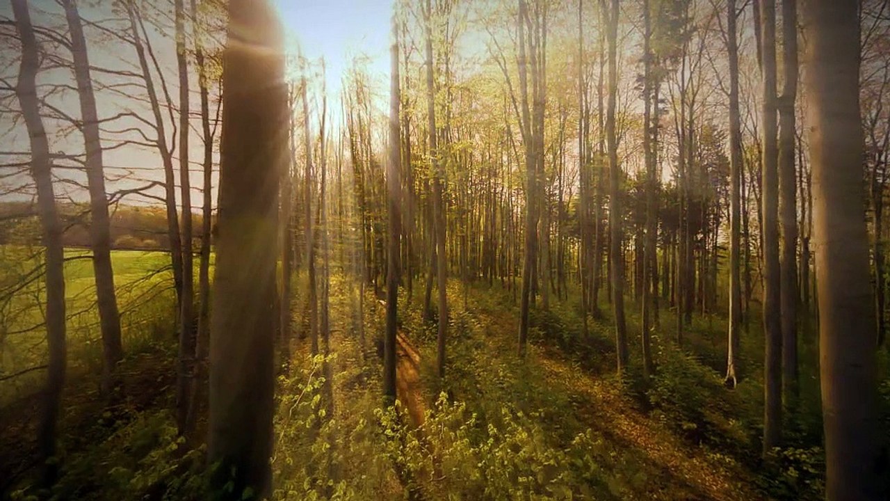 Buch Trailer: Der Orden (Englisch mit deutschen Untertiteln) - A.C. Donaubauer