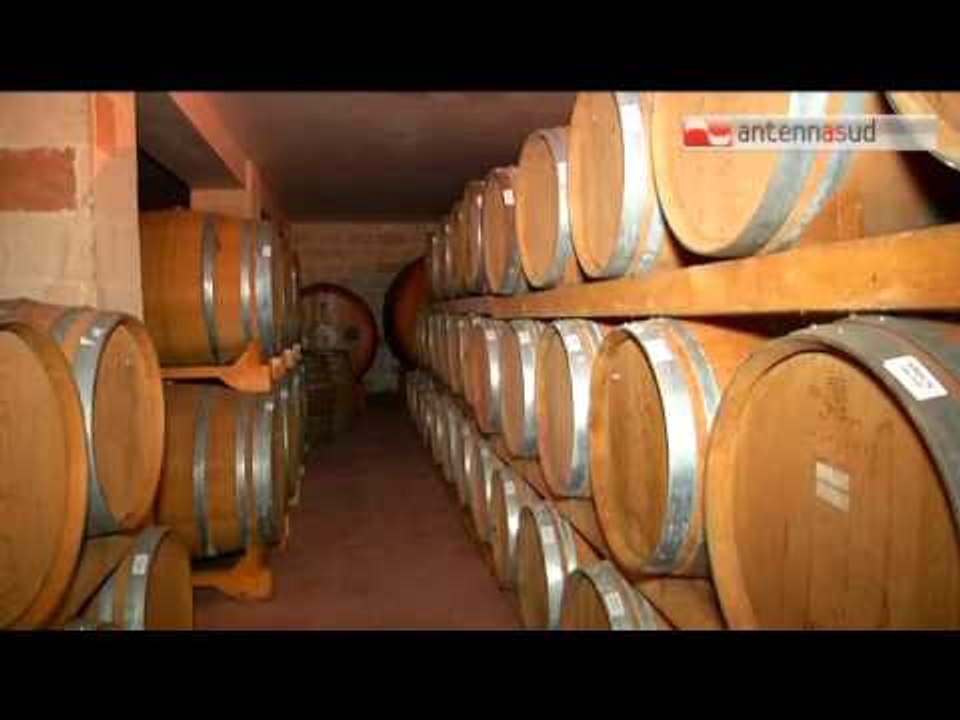 Tg Antenna Sud - Lo spumante star delle feste