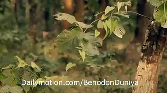 Why running Bangladeshi hot model Naila nayem ???