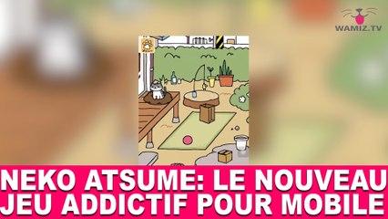 Neko Atsume: le nouveau jeu addictif pour mobile! À découvrir dans la minute chat #77