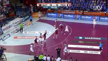 Finale Handball 2015 : France VS Qatar