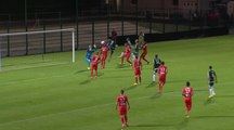 Le but de D. Da Cruz face à Valenciennes (5ème Journée Red Star 1-5 Valenciennes)