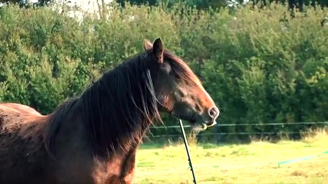 Paul hayward bangkok | Create Hidden Blage & Rope Launcher