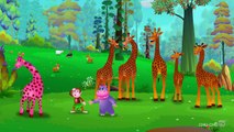Finger Family Giraffe | ChuChu TV Animal Finger Family Nursery Rhymes Songs For Children