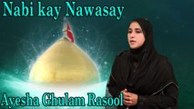 Ayesha Ghulam Rasool - Nabi kay Nawasay