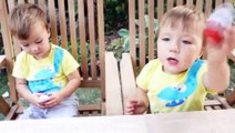 Egg kinder surprise - Twins opens kinder eggs surprises FAMILY FUN FUNNY VIDEO