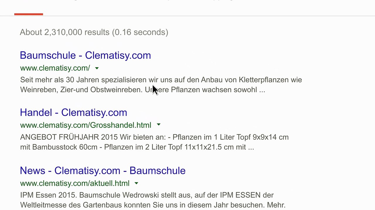 Digital Marketing Agentur Köln | netkin