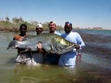 Nile perch fishing egypt lake nasser