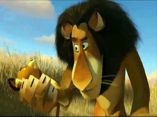 Punjabi Totay - Sher Da Bacha