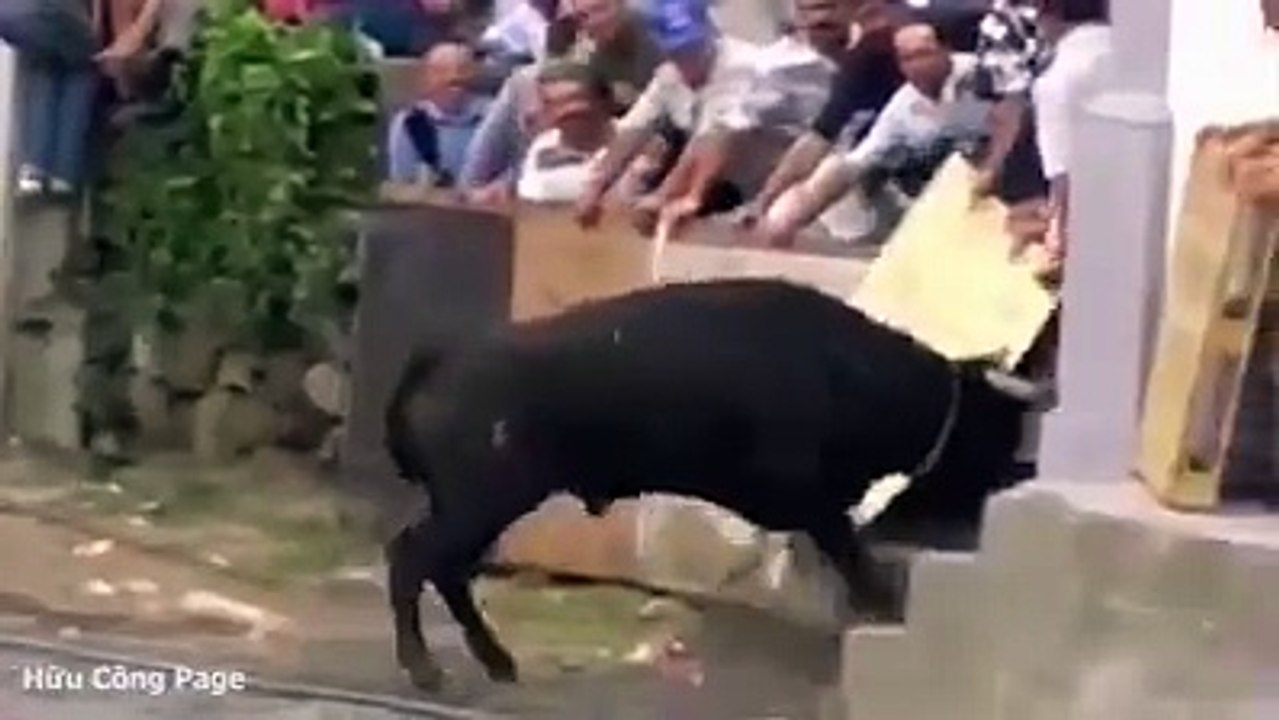 Đừng xem  đau bụng đấy Funny Videos Haha HD