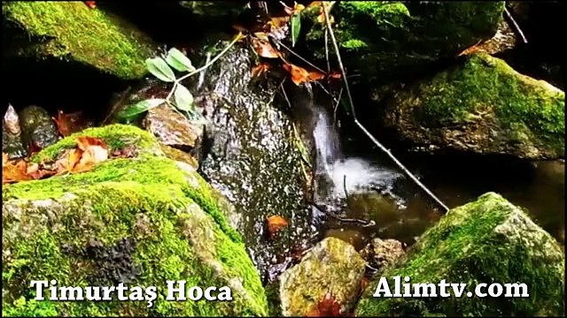 İngiliz Ajanının Yüzünden Ölen 2800 Kişi