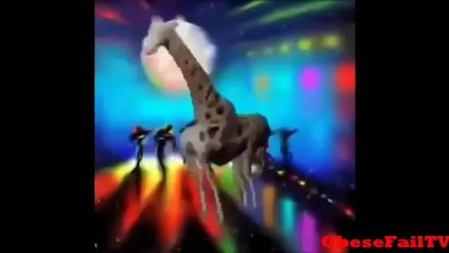 Butt Naked Nasty Or Nah Vine (Best Vines Compilation)(Funny Vines)