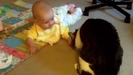 Cute Cats and Dogs Love Babies Compilation 2014 [HD]