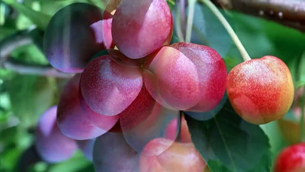 Chapter 13 - The Proof of Giving Sustenance