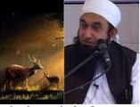 Heerni (Deer) Aur Hamare Nabi Ka Kissa Bayan By Maulana Triq Jameel