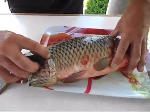Как чистить рыбу