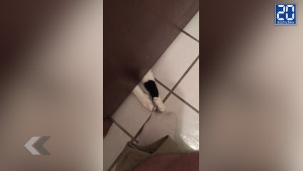 A chaque fois que je vais sur le trône.. ! - Le rewind du mardi 22 décembre 2015.