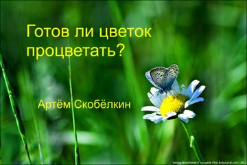 Готов ли цветок процветать. Артём Скобёлкин