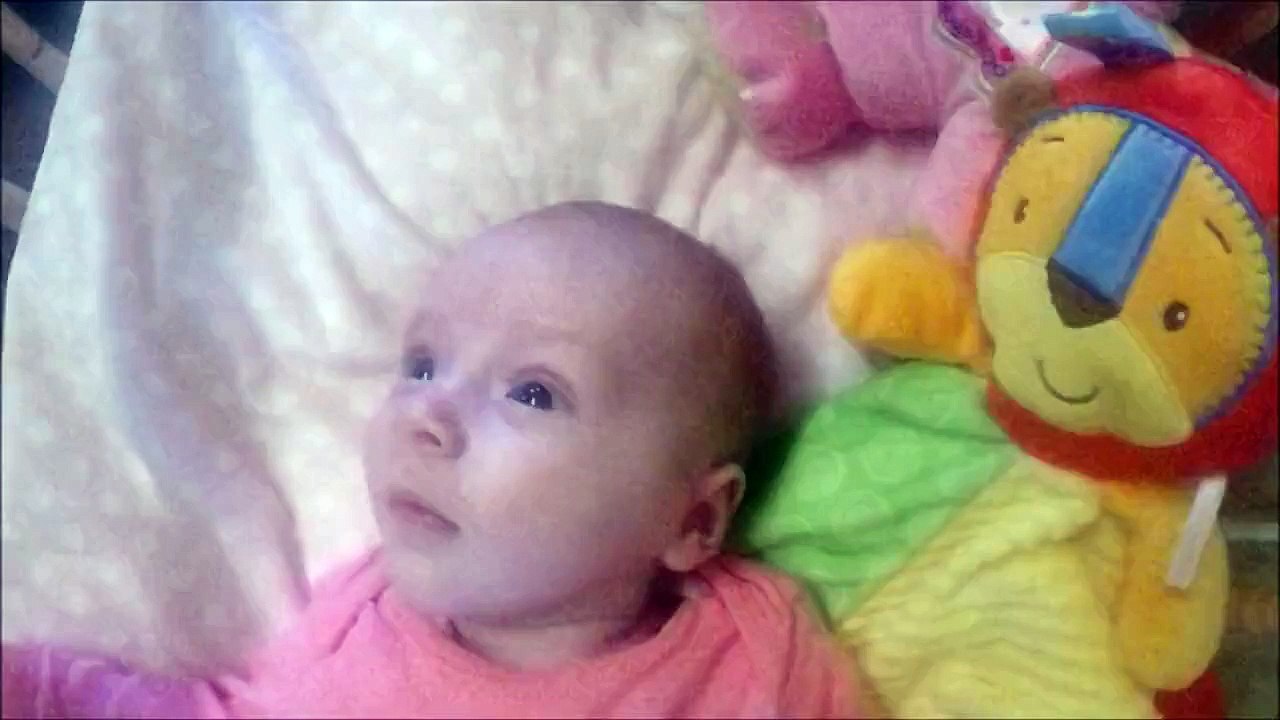 Dog Puts His Baby Sister To Sleep in a Swing Crib