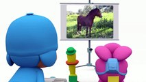 Pocoyo in English Session 26 (Ep. 49 52)