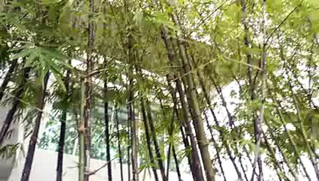 Behind the Scenes of Victorias Secrets Angels Only Shoot