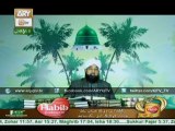 SHUMAIL E MUSTAFA (Allama Raza Saqib Mustafai) 22nd December 2015