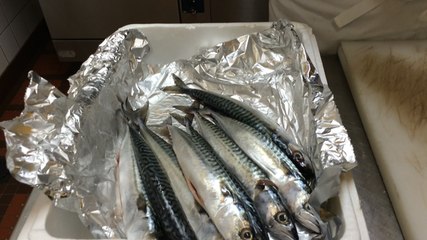 Bouillabaisse aux maquereaux