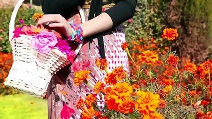 alia pashto new songs 2016 zama da meene lewaniya MR PRINE IMMY Add Me On Facebo