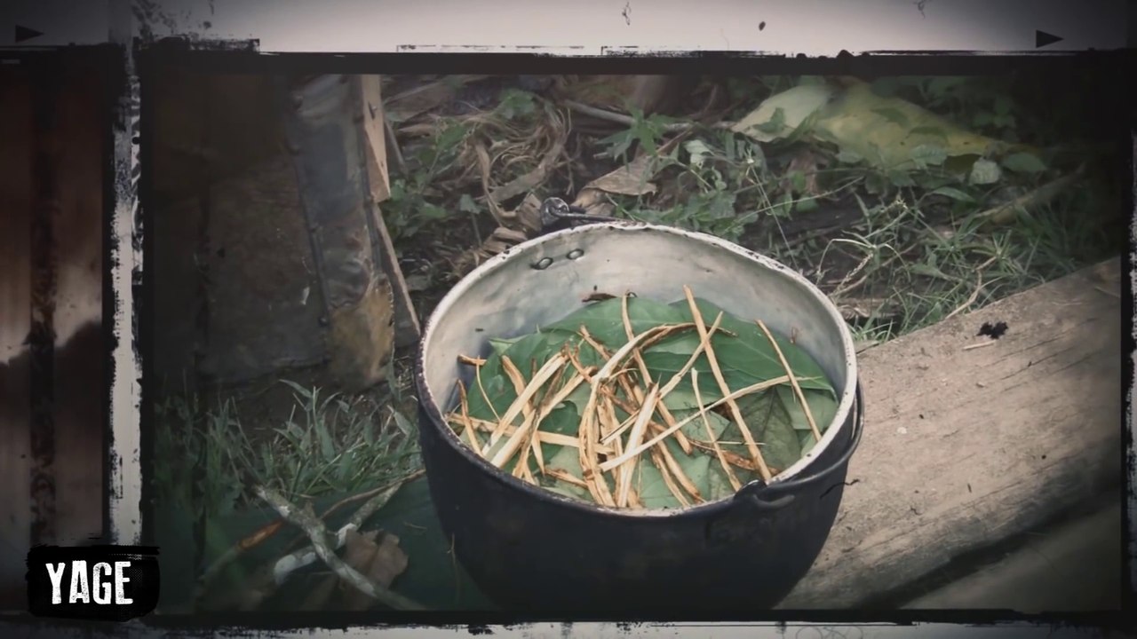 10 Craziest Drugs Youve Never Heard Of