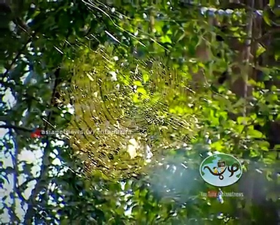 Kavya Madhavan in Ente Puzha | Chandragiri River | Episode 15 | 15 Dec 2015