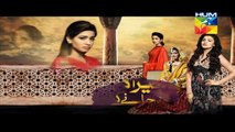 Mera Dard Na Jany Koi Episode 41 Promo HUM TV Drama
