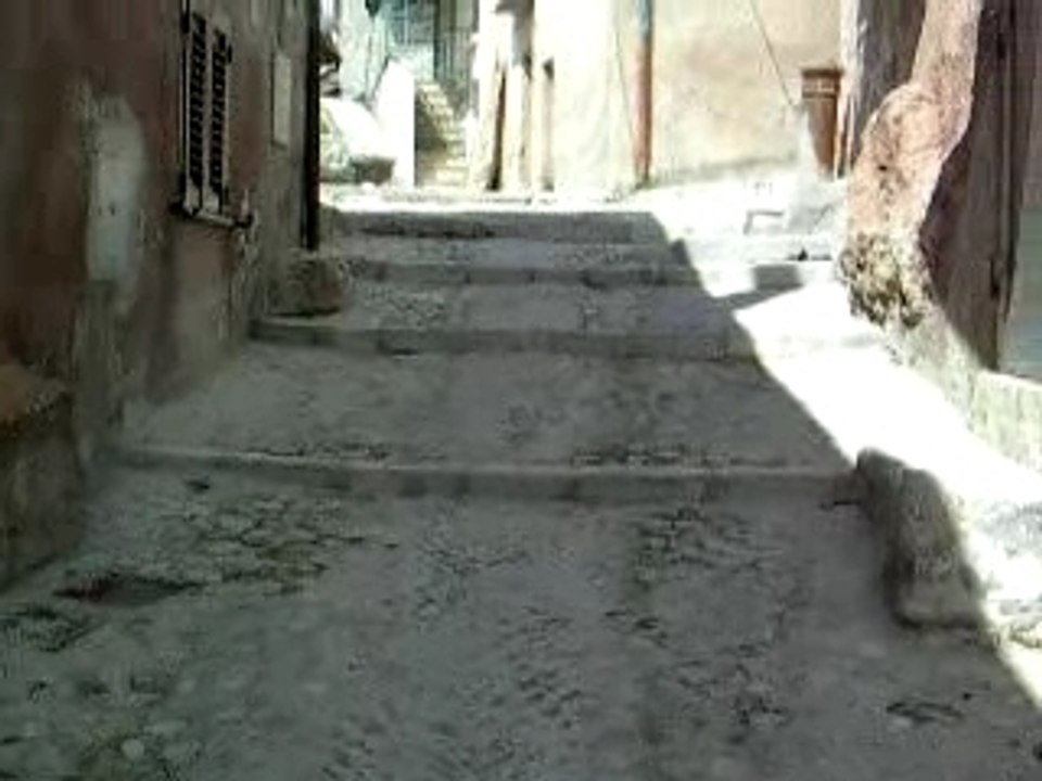 DSCN1184