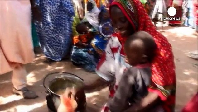 Africa: 'catastrophic' malnutrition amid Boko Haram violence