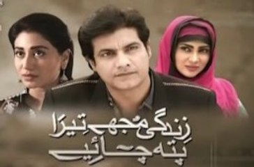 Zindagi Mujhay Tera Pata Chahiye Episode 32 On Ptv Home